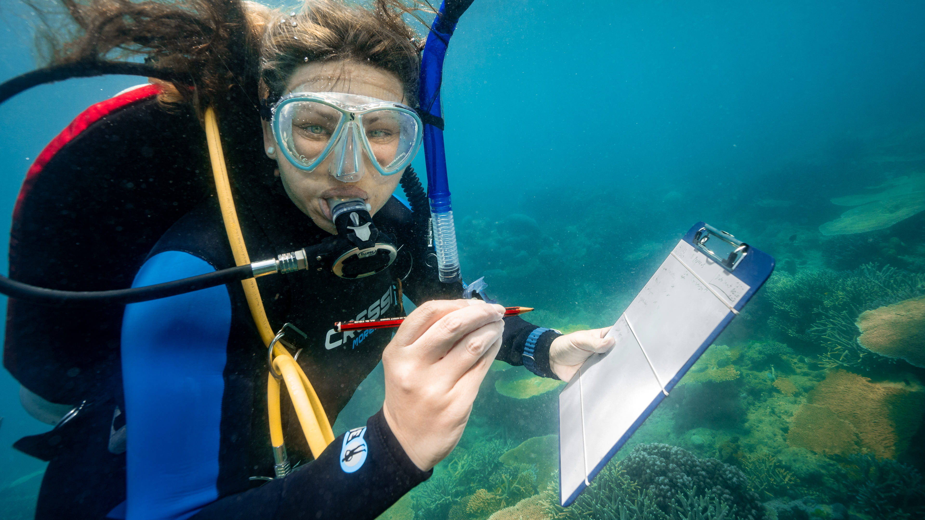 Diving the Great Barrier Reef | National Geographic Live